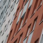 Junge Deutsche verlassen Elternhaus im Schnitt mit 24,1 Jahren