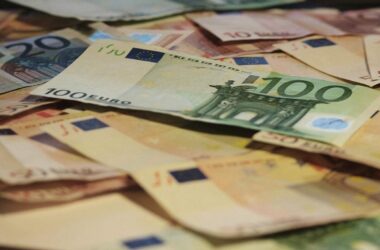 Wirtschaftsvereinigung der Grünen will Mindeststeuer für Reiche