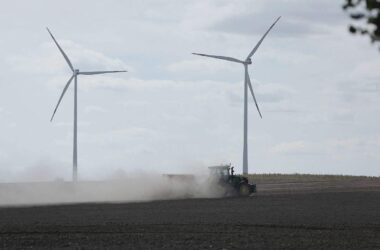 Bauernpräsident beklagt kritische Situation der Landwirte