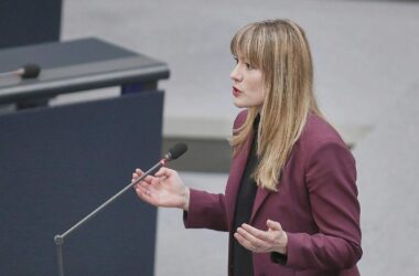 Linke will erneut in Geheimdienst-Kontrollgremium