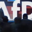 Politikberater sieht neue AfD-Strategie bei Ost-Wahlen