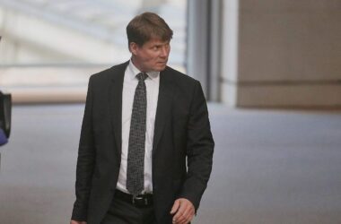 AfD-Abgeordnete wollen zu Putins Wirtschaftsforum reisen