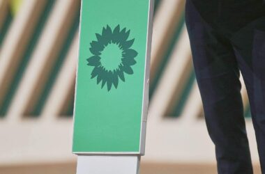 Grünen-Basis klagt gegen geplante Satzungsreform