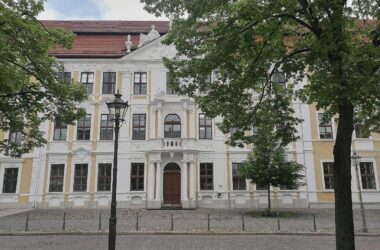 AfD sucht Personal für Alleinregierung in Sachsen-Anhalt