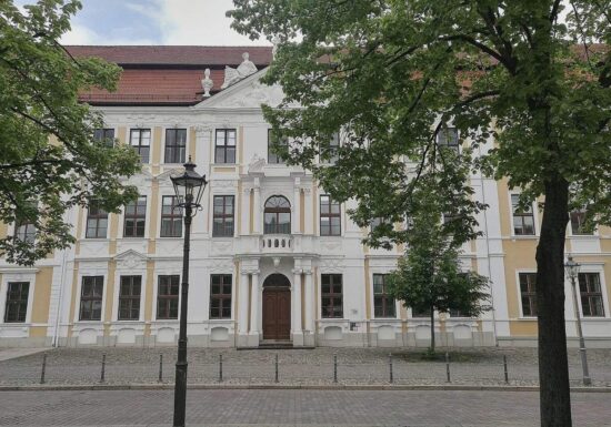 AfD sucht Personal für Alleinregierung in Sachsen-Anhalt