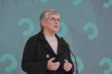 Haßelmann kritisiert Merz und bietet Hilfe für Reformen an