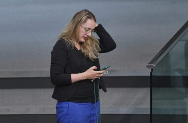 Grüne, SPD und Linke ziehen sich von X zurück