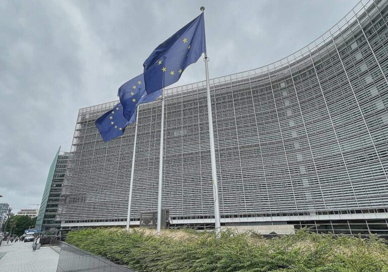 EU-Kommission verhängt Millionen-Geldbuße gegen Temu