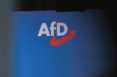 Institutionen warnen vor AfD-Regierung in Sachsen-Anhalt