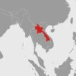 Goldsucher aus überfluteter Höhle in Laos gerettet