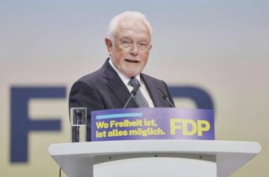Linke sieht Kubicki als "letzten Sargnagel der FDP"