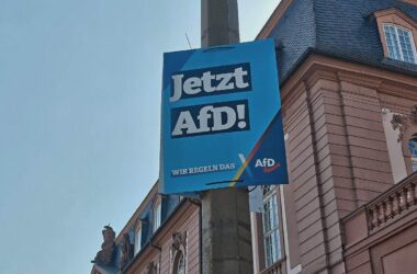 Studie: Subventionen können AfD ausbremsen