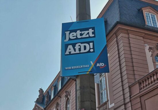 Studie: Subventionen können AfD ausbremsen