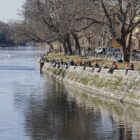 Frühling 2026 war sehr mild, sonnig und zu trocken