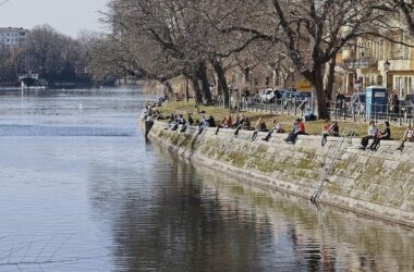 Frühling 2026 war sehr mild, sonnig und zu trocken