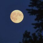 Deutscher Astronaut soll ab Artemis-5-Mission zum Mond fliegen
