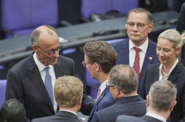 Grünen-Chef kritisiert Spekulationen um Kanzlerwechsel