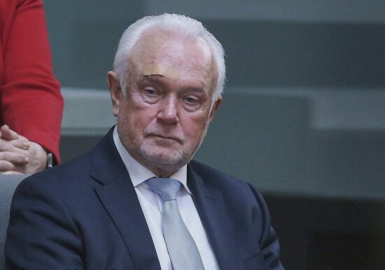 Umfrage: Nur jeder Vierte glaubt an FDP-Comeback unter Kubicki