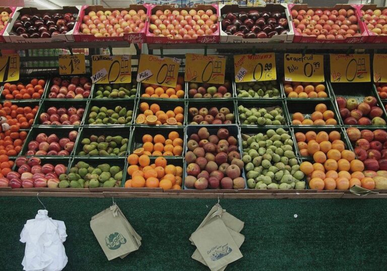 Studie: Strukturwandel macht Ernährungssystem krisenanfälliger