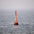 Gestrandeter Buckelwal in der Nordsee freigesetzt