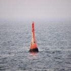 Gestrandeter Buckelwal in der Nordsee freigesetzt