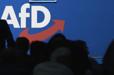 Innenminister warnen vor AfD-Regierung in Sachsen-Anhalt