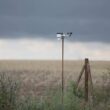 Schwere Gewitter im Westen und Nordwesten