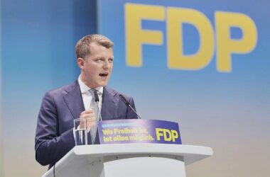 FDP-Vize Höne mahnt nach Parteitag zu Geschlossenheit