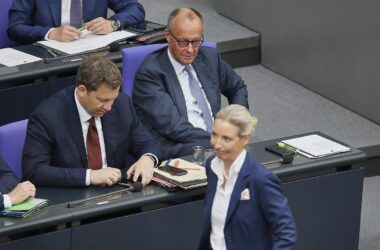 AfD bleibt in Umfrage mit 29 Prozent stärkste Kraft