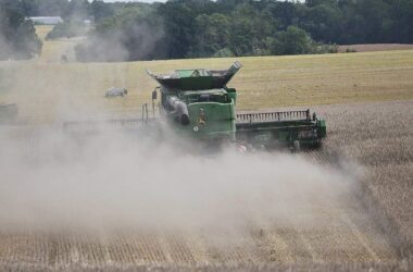 Bayer warnt vor Ernteausfällen durch Hormus-Blockade