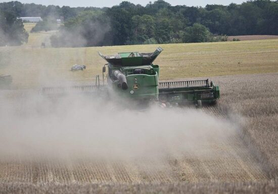Bayer warnt vor Ernteausfällen durch Hormus-Blockade