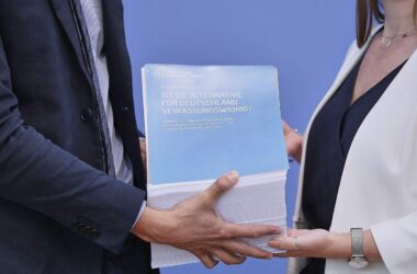 Bundesregierung erwägt trotz Gutachten keinen AfD-Verbotsantrag