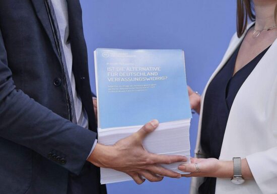 Bundesregierung erwägt trotz Gutachten keinen AfD-Verbotsantrag
