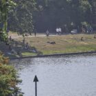 Ploß fordert Freibad-Offensive mit Infrastruktur-Milliarden