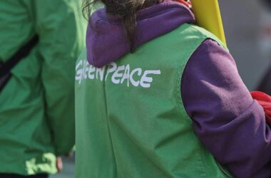 Greenpeace: Analyse zeigt hohe "Übergewinne" bei Benzin im Mai