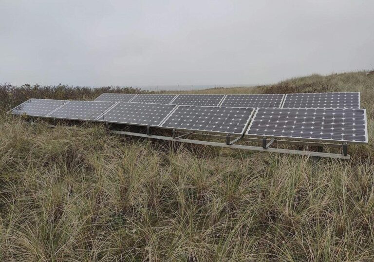 Netzbetreiber warnt vor zu schnellem Solarausbau
