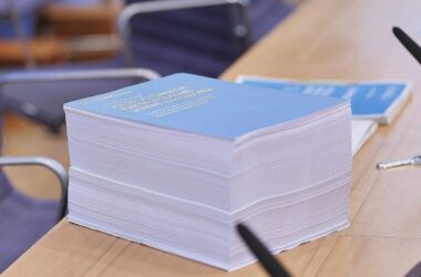 Bundestagsabgeordnete drängen nach Gutachten auf AfD-Verbotsprüfung