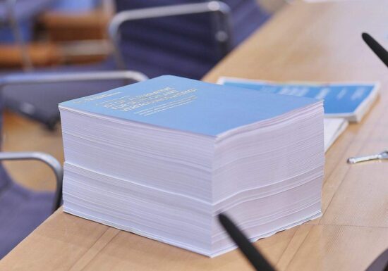 Bundestagsabgeordnete drängen nach Gutachten auf AfD-Verbotsprüfung