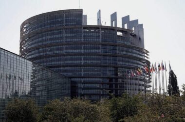 EU-Abgeordnete fordern Prüfung von AfD-Dachpartei ESN