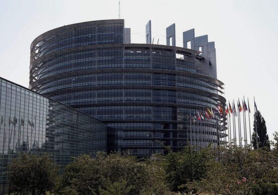 EU-Abgeordnete fordern Prüfung von AfD-Dachpartei ESN