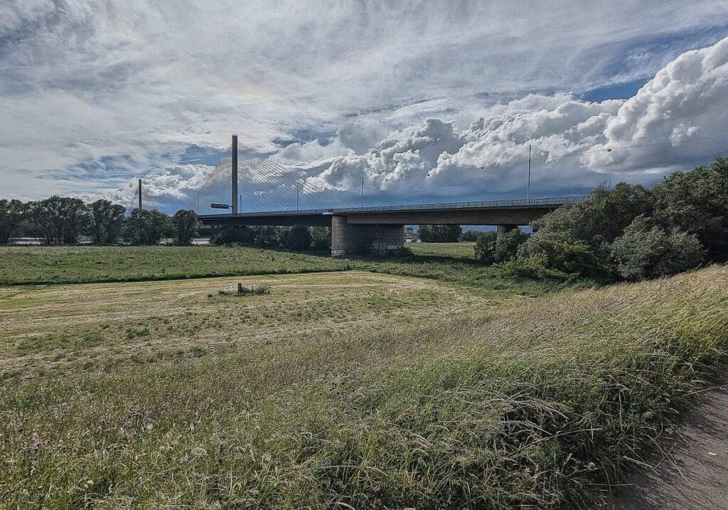 "Lenkungskreis" für gesperrte Bonner Rheinbrücke nimmt Arbeit auf