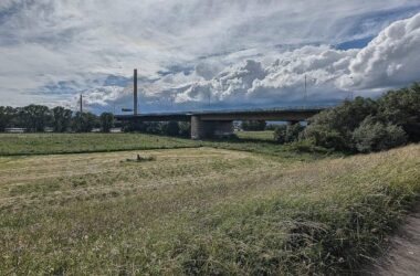 "Lenkungskreis" für gesperrte Bonner Rheinbrücke nimmt Arbeit auf