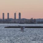 Siemens Energy erwägt Abspaltung von Industrie-Sparte