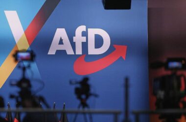 Urteil: Bayerischer Verfassungsschutz darf AfD beobachten