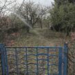 Gartenbesitzer in Deutschland fördern verstärkt Artenvielfalt