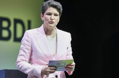 Landtagswahlen: BDI warnt vor AfD-Regierungsbeteiligung