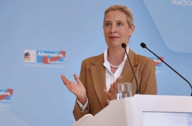 Brandmauer: AfD begrüßt Antrag aus Brandenburger Mittelstandsunion
