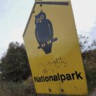 Waldbrand-Experte kritisiert Löschstrategie im Müritz-Nationalpark