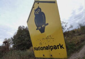 Waldbrand-Experte kritisiert Löschstrategie im Müritz-Nationalpark