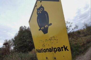Waldbrand-Experte kritisiert Löschstrategie im Müritz-Nationalpark